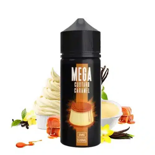 Mega Custard Caramel