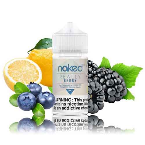 Naked 100 Really Berry